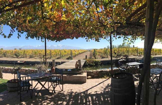 Um noch etwas schneller aufzutauen, besuchen wir das sonnige und warme Weinparadies von Mendoza.