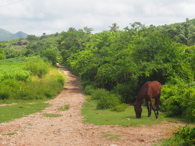 Trinidad