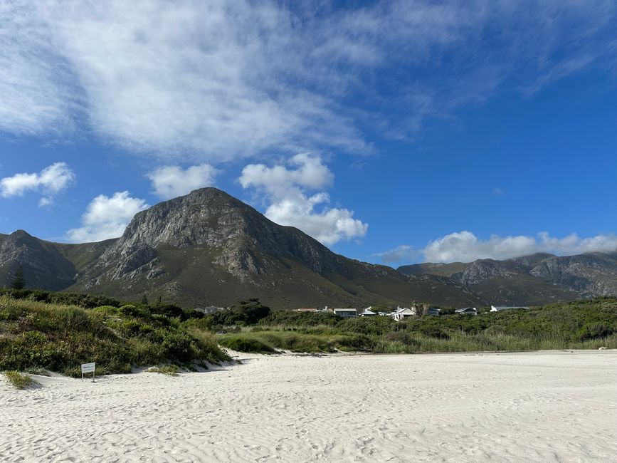 Hermanus ♥️