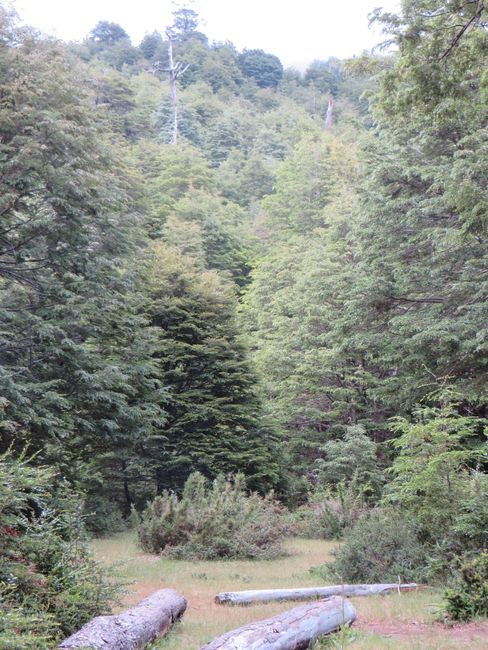 'Région des Lacs' - le sud de l'Allemagne au Chili