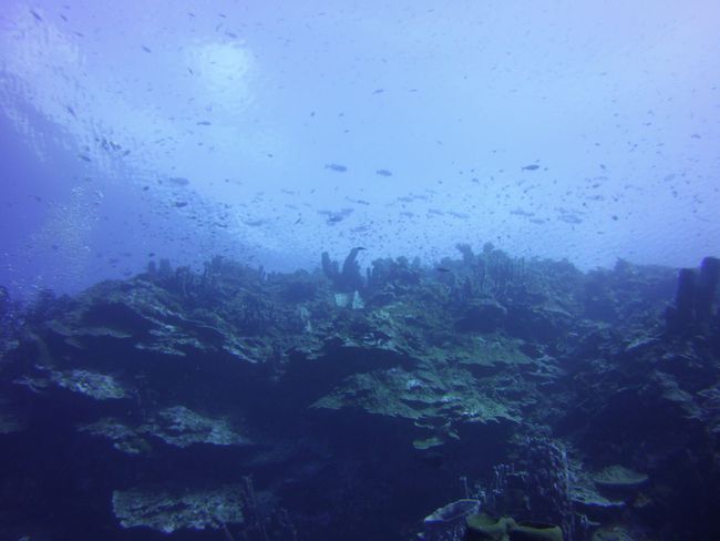 underwater in front of Una Una