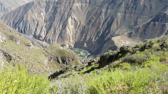Colca Canyon - The oasis where we spent the night.