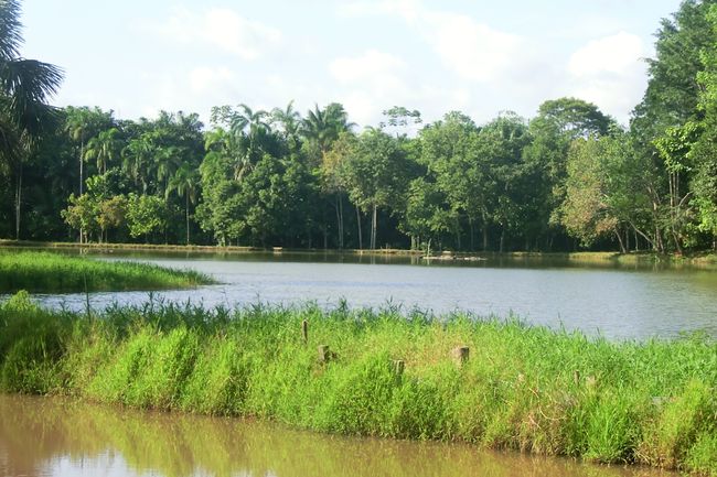 Iquitos మరియు అడవి గురించి - 5 Tage im Regenwald