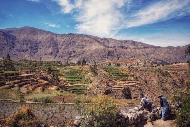 Second Stop: Peru, Part 3: Hakuna Matata