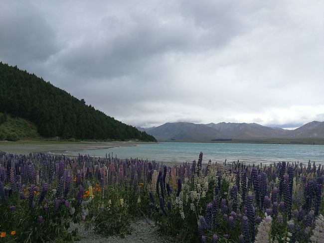 Mount Cook, Lake Tekapo