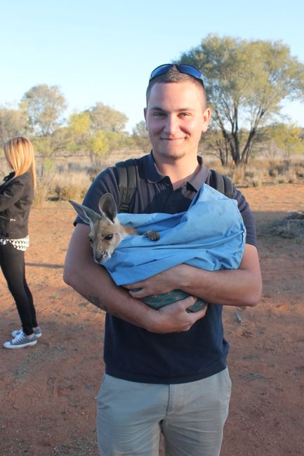 16.09.2016 Kangaroo Sanctuary