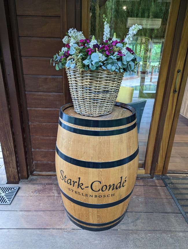 Weintasting's in Stellenbosch