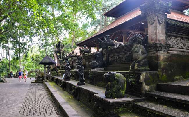 29.09.2016 - Indonesien, Bali, Ubud (Monkey Forest)
