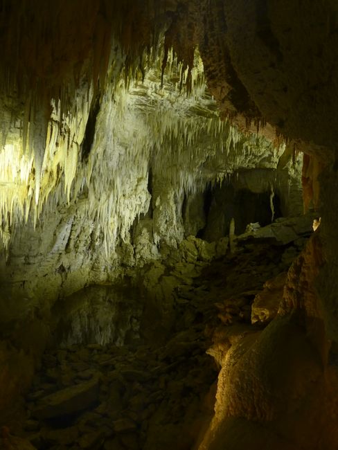 Waitomo Caves (Neuseeland Teil 6)