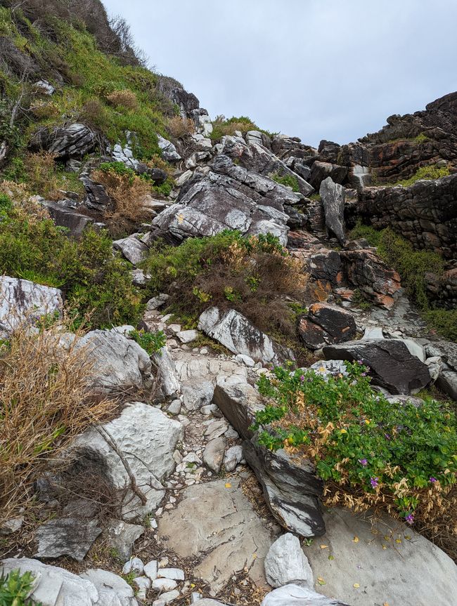 Parc national de Tsitsikamma