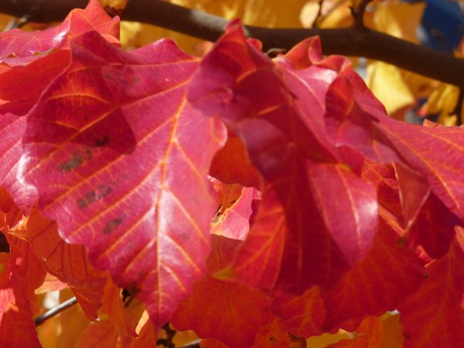Was für Farben