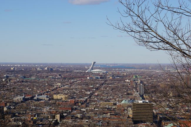Fußball, Mont Royal und das Kreuzberger Montreal