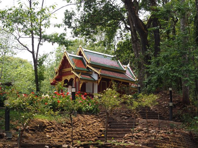 Zurück in Thailand: Chiang Mai & Pai