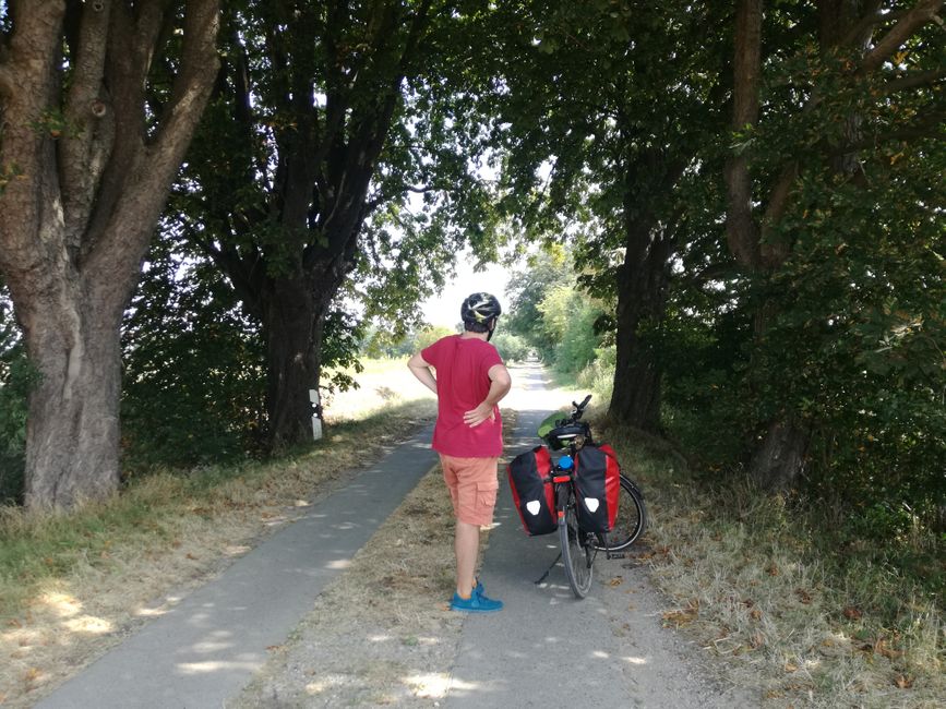 Un po' di ombra