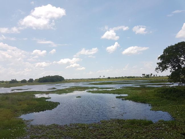 Pantanal Fazenda