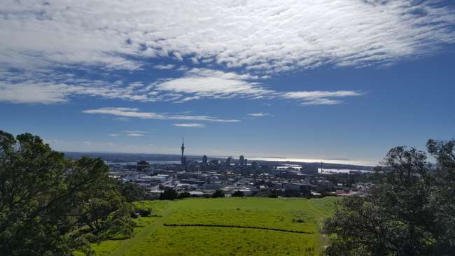 Auckland & Waiheke wat'a