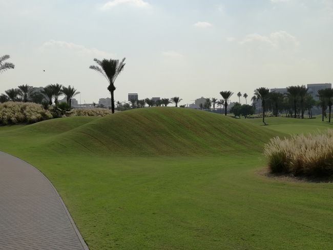 Dubai Creek Yacht & Golf Club