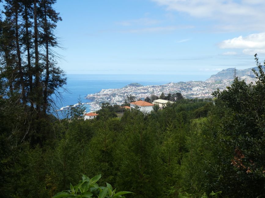 Madeira: Funchal and Palheiro Gardens