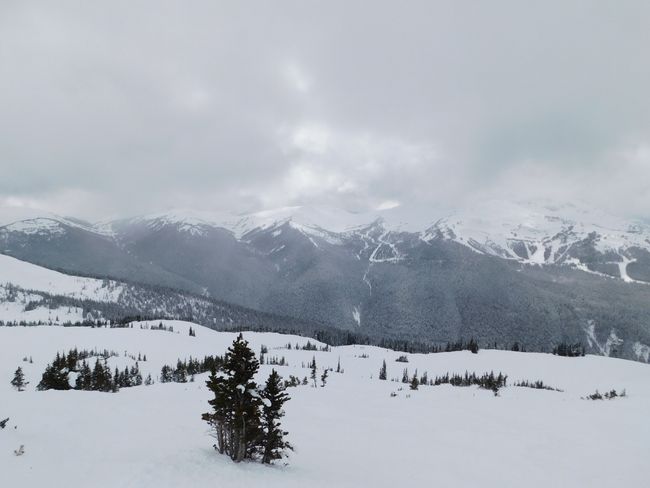 Whistler - British Columbia
