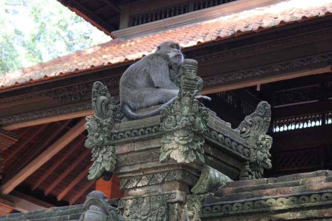 A temple complex in the Monkey Forest