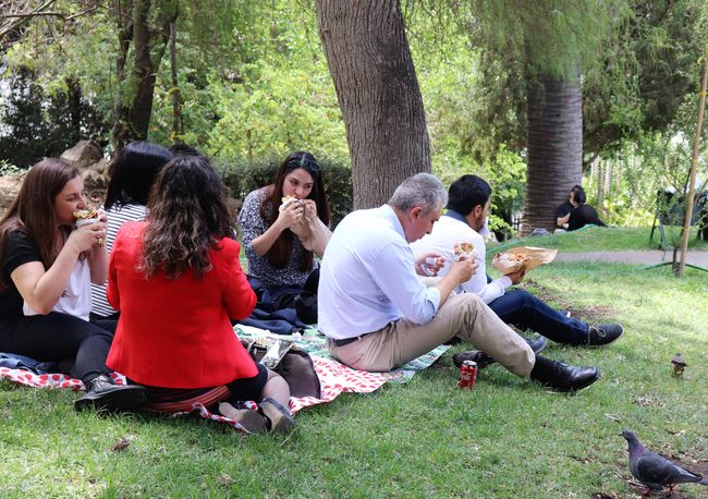 legeres Lunch-Picknick im Park