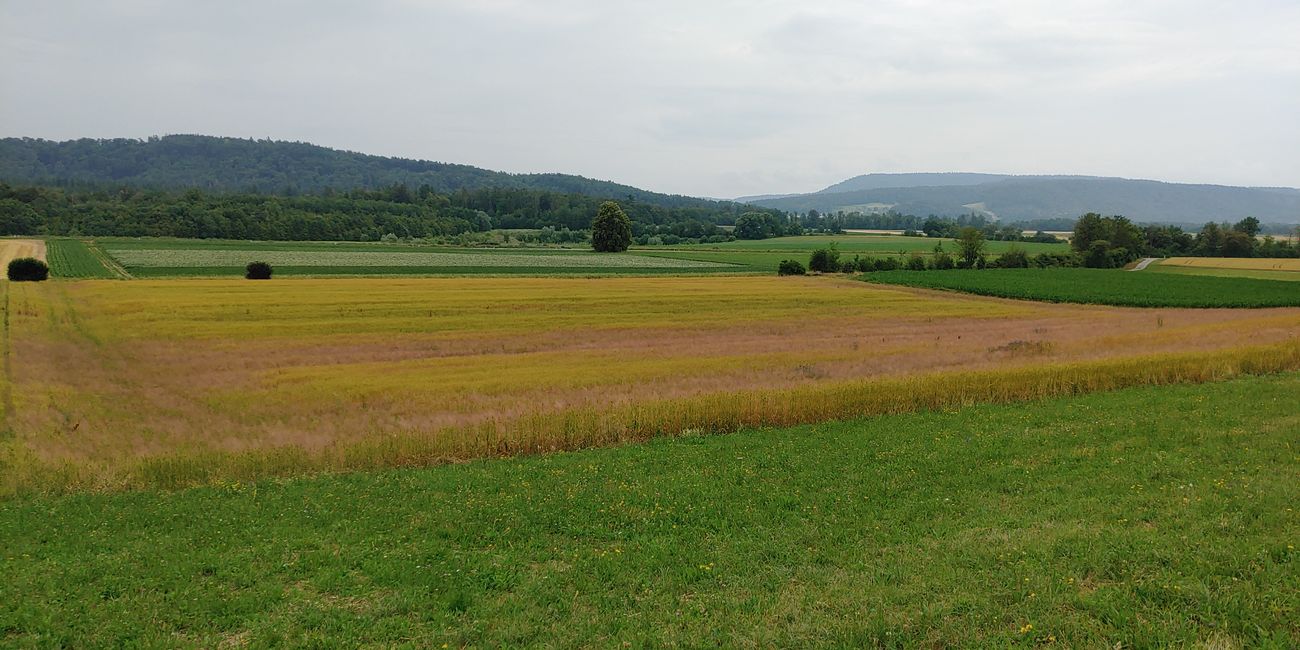 Gegend