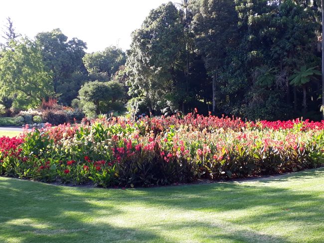 Jardín Botánico Melblourne - ¡¡¡Hermoso!!!