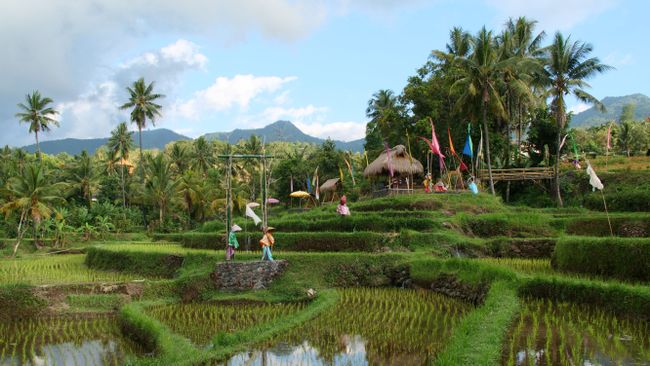 12/06/2019 - Bedugul & The Secret Gardens of Sambangan / Bali / Indonesien