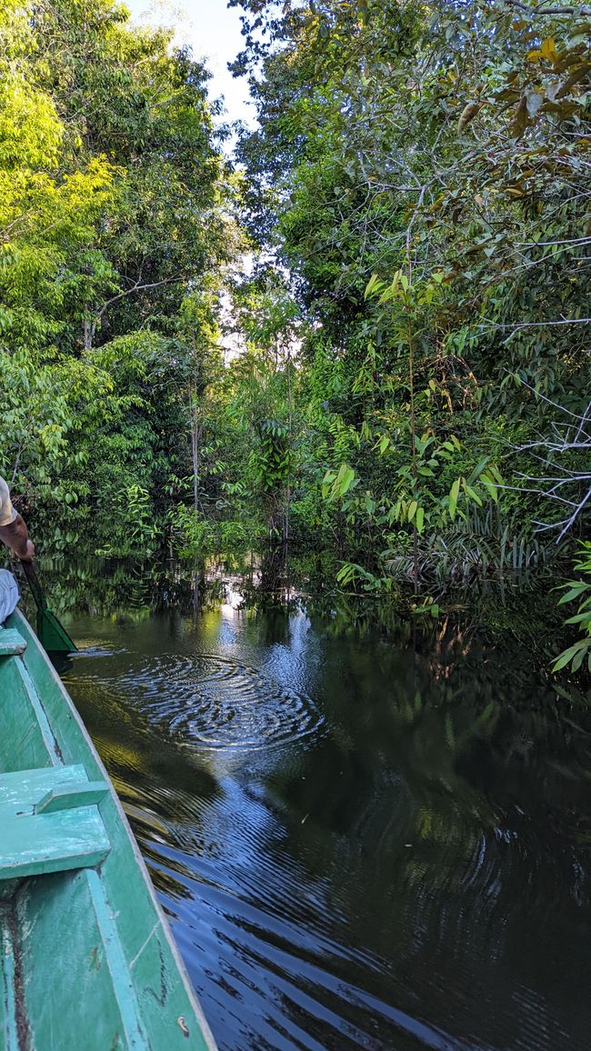 1. Tag Amazonas Dschungel