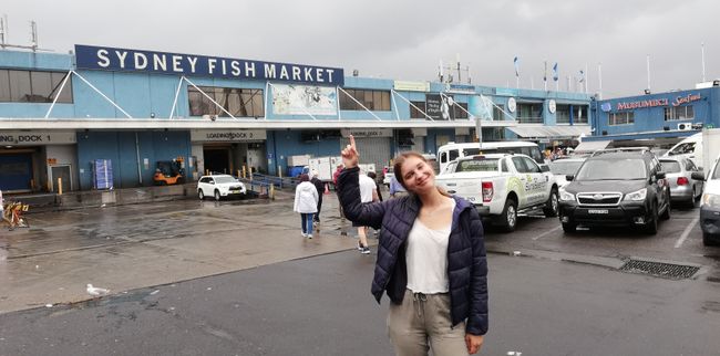 Fish Market Sydney