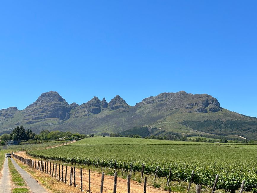 Stellenbosch 
