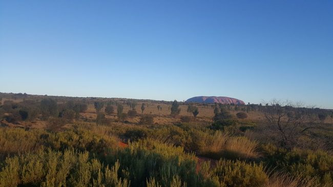 Uluru bei Sonnenuntergang 