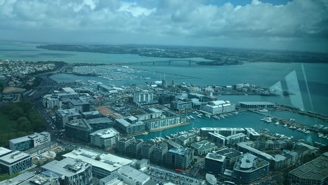 Harbour Bridge from the Sky Tower
