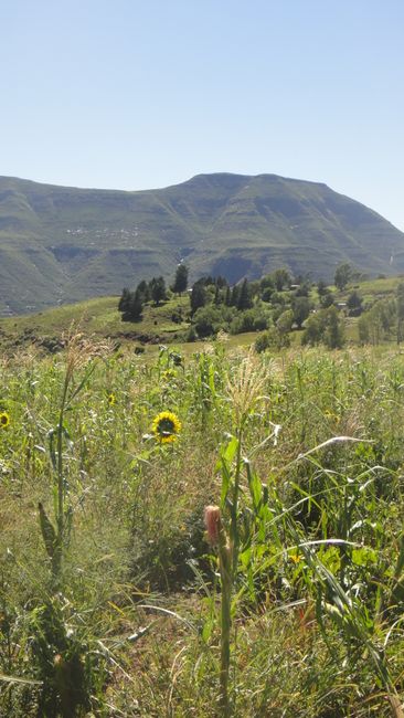 Willkommen in Lesotho