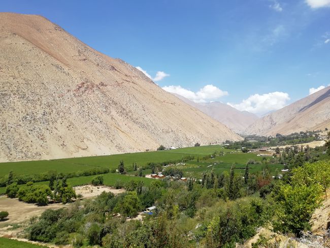 Valle del Elqui (Chile)