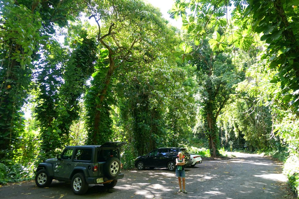 Hawaii 2022 - Part 3: Maui