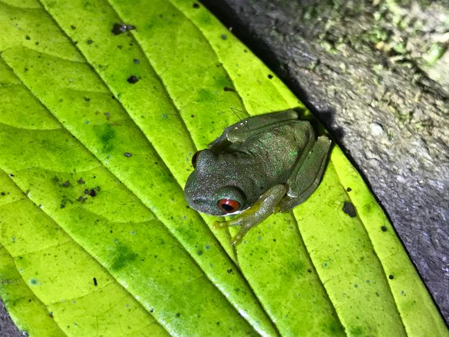 Hoher Besuch in Costa Rica