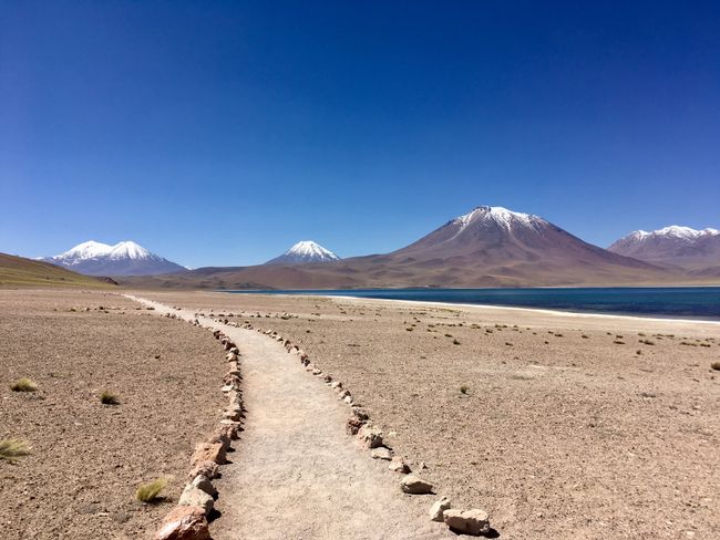 Laguna Miscanti, San Pedro de Atacama