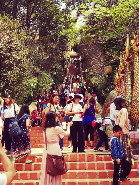 Aufstieg zum Wat Doi