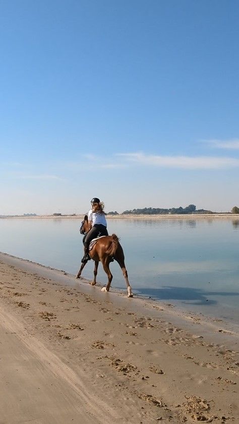 Day 15 (2023) Abu Dhabi: Horseback riding on the beach, swimming at Soul Beach & IFTAR at 'W'