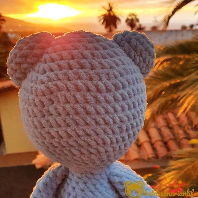 Anyone can go to Mallorca.. Tedd🐻💼 is going to Tenerife 🏖️🌴☀️