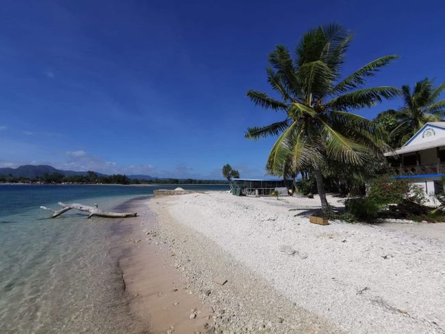 Umushyitsi udasanzwe muri Vanuatu