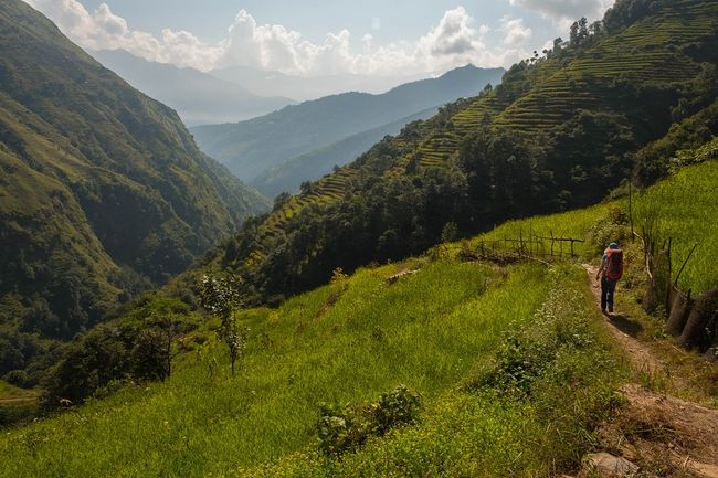 In the first few days, we hike through ripe millet fields on steep mountain slopes.