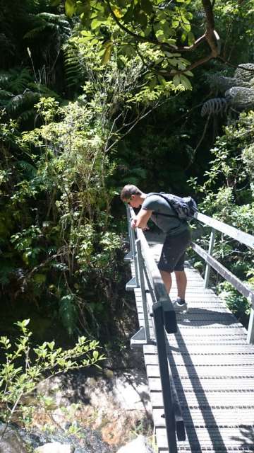 Hiking in Abel Tasman 