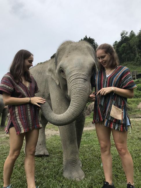 大象保護區的一天