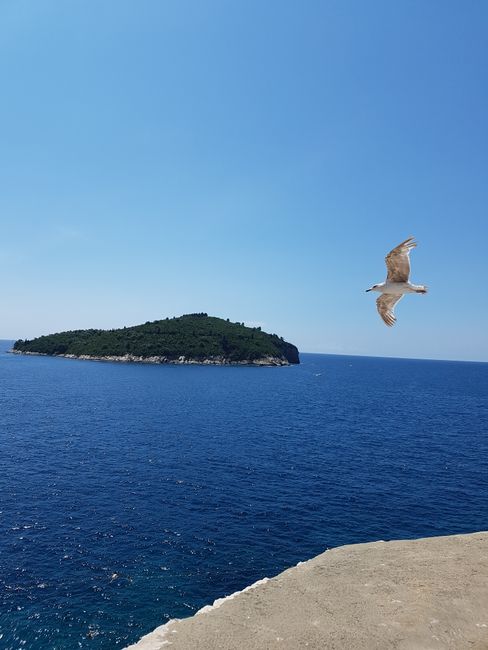 Dubrovnik aus Sicht eines Freigeistes
