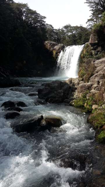 Mangawhero Falls - known from Lord of the Rings