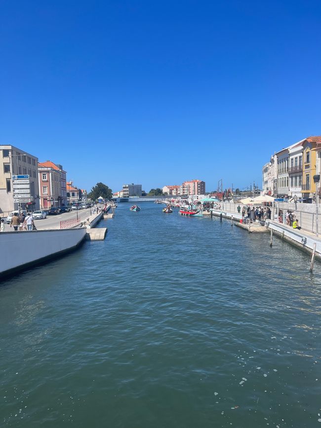 Portugalilainen Venetsia - tutustuminen portugalilaiseen ensiapuun