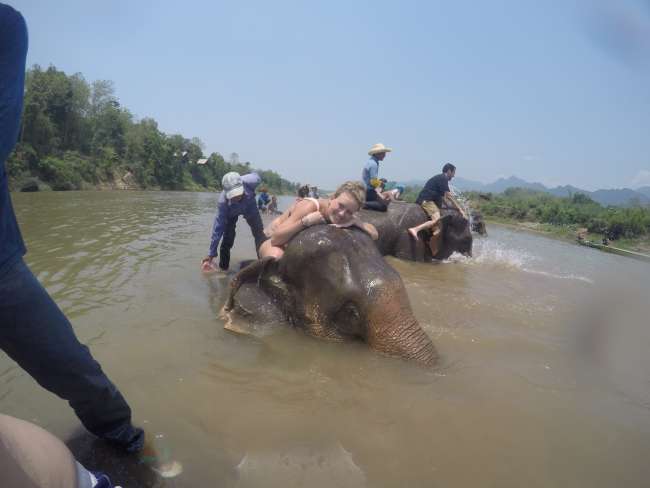 Elephant Village