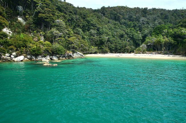 Tag 14 - Abel Tasman National Park